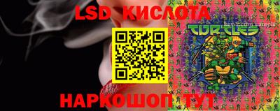 герыч Боровичи